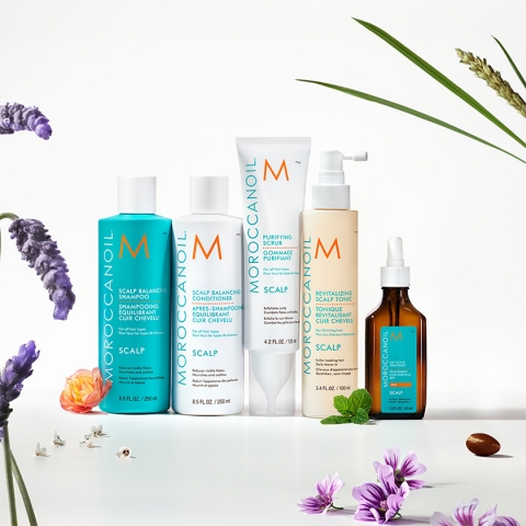Moroccanoil Scalp linija za negu kože glave Moroccanoil Scalp linija za negu kože glave