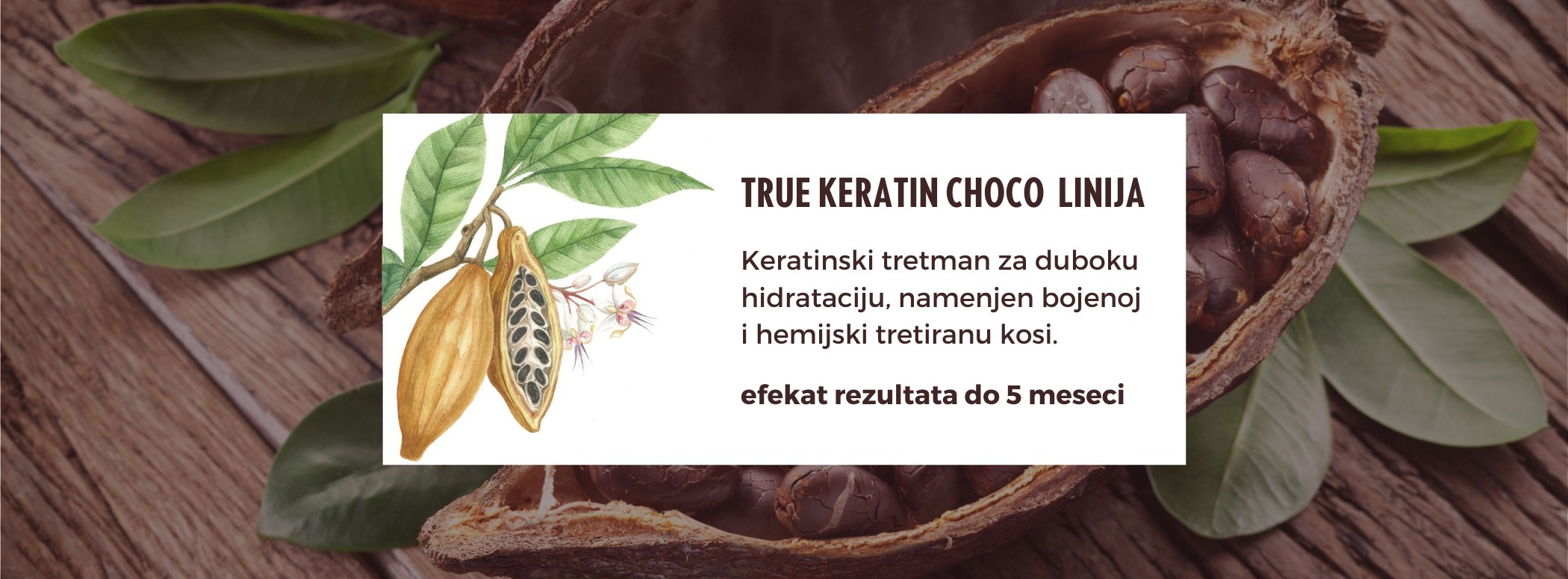 TK Choco